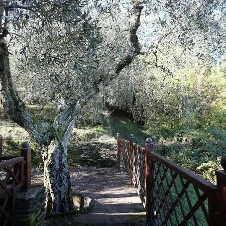 Molino Del Rotone