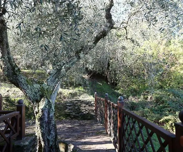 Molino Del Rotone