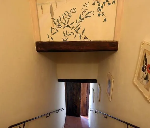 Molino Del Rotone Buti